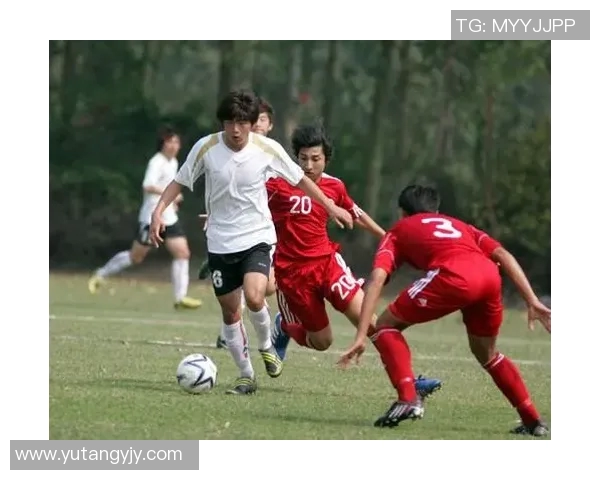 广州球星卡店足球市场热度分析与未来发展趋势探讨 广州球星卡店足球市场热度分析与未来发展趋势探讨