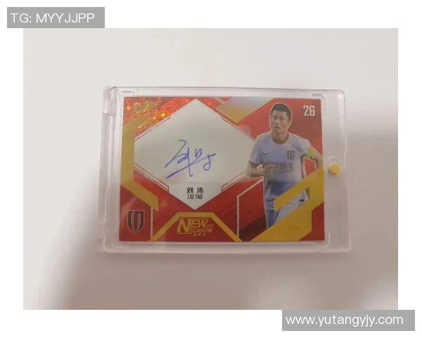 足球场球星签名的独特风格与技巧分析探究 足球场球星签名的独特风格与技巧分析探究